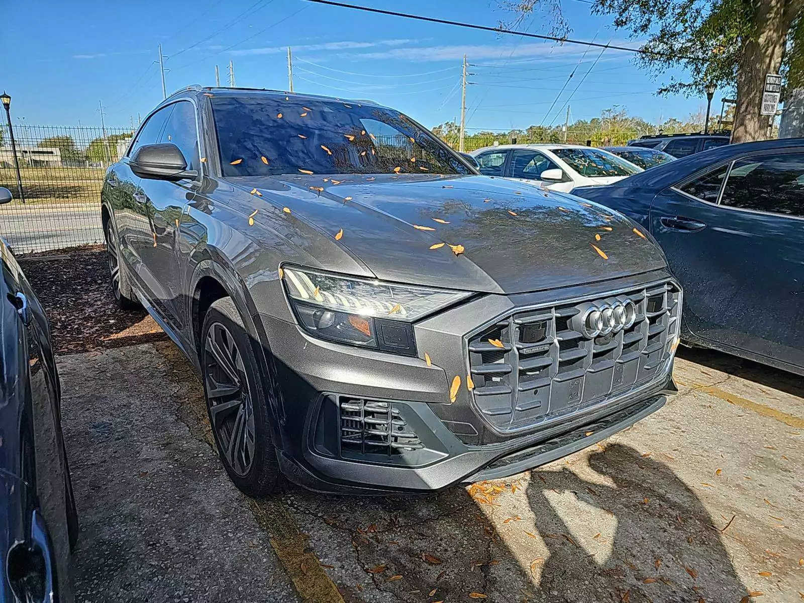 Audi Q8 Prestige 2019 | Grand Car Audi Q8 Prestige 2019 - доставка авто из США