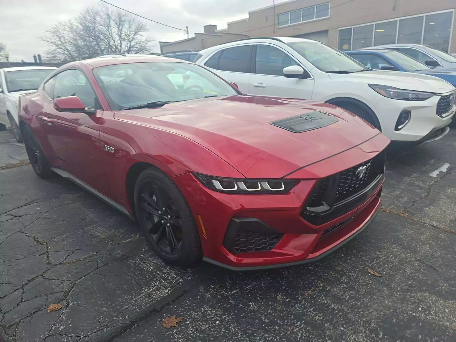 Ford Mustang GT Coupe 2024 | Grand Car Ford Mustang GT Coupe 2024 - доставка авто из США