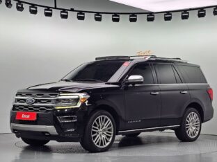 Ford Expedition Platinum 2022 - доставка авто из США